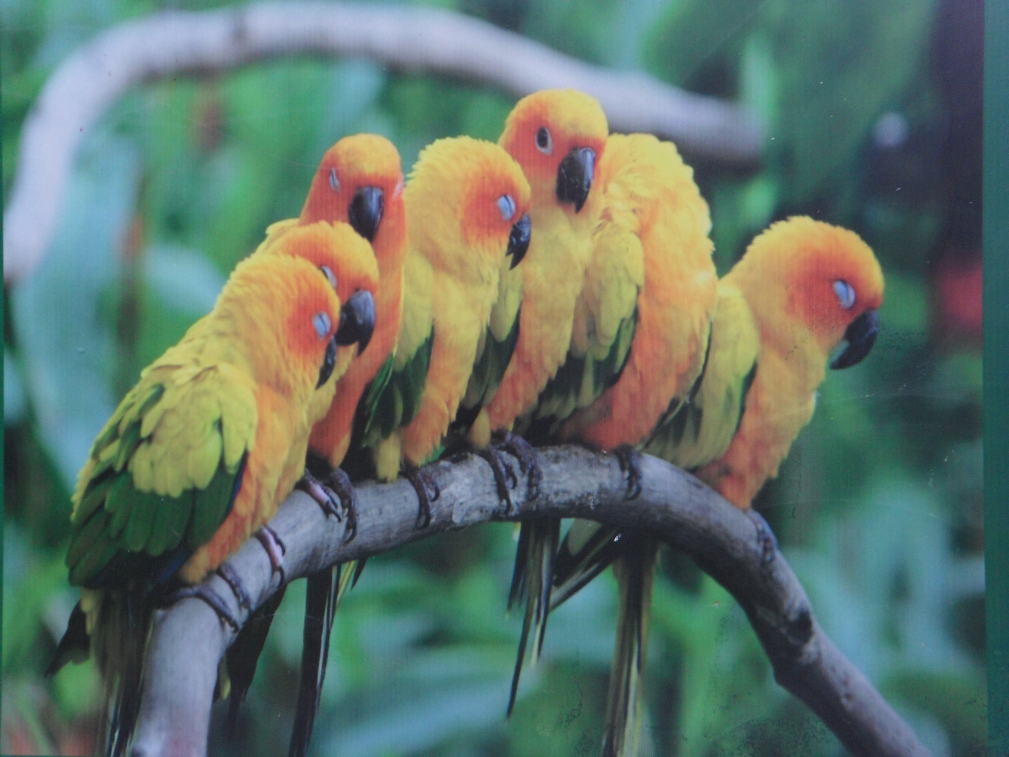 Serra da Graciosa é com a Roots Adventure